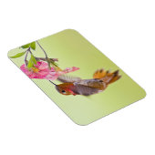 Magnet Flexible Canada, Colombie-Britannique, Colibri roux (Côté Droit)