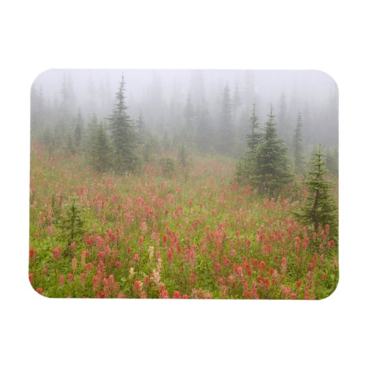 Magnet Flexible Canada, Colombie-Britannique, Revelstoke National (Horizontal)