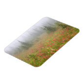 Magnet Flexible Canada, Colombie-Britannique, Revelstoke National (Côté Gauche)