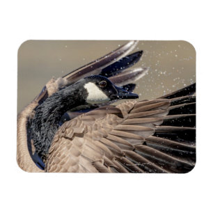 Magnet Flexible Canada Goose