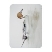 Magnet Flexible Canard à ongles 2011 (Vertical)
