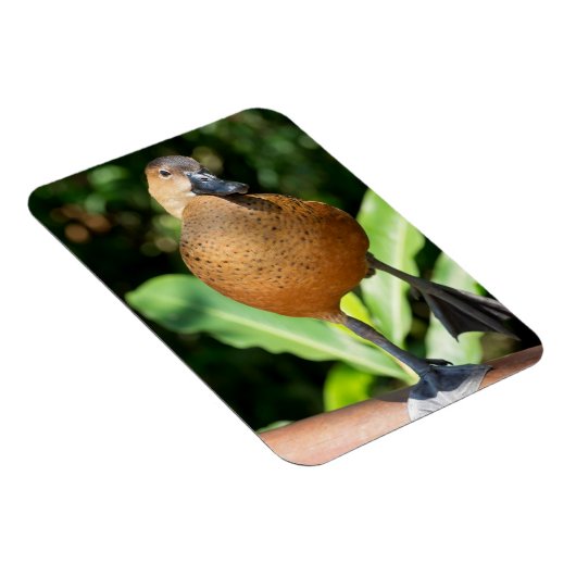 Magnet Flexible Canard À Sifflement Complet Sur Rail (Côté Droit)