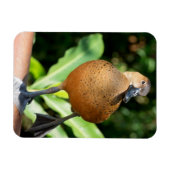 Magnet Flexible Canard À Sifflement Complet Sur Rail (Horizontal)