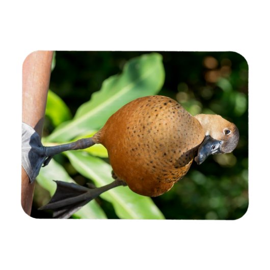 Magnet Flexible Canard À Sifflement Complet Sur Rail (Horizontal)