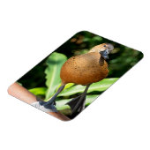 Magnet Flexible Canard À Sifflement Complet Sur Rail (Côté Gauche)