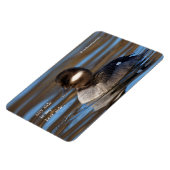 Magnet Flexible Canard à tête de tampon mou sur les eaux éclairées (Côté Gauche)