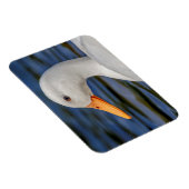 Magnet Flexible Canard blanc (Côté Droit)