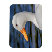 Magnet Flexible Canard blanc (Vertical)