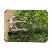 Magnet Flexible Canard, canard, oie.... (Horizontal)