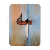 Magnet Flexible Canard de canard mâle (Vertical)