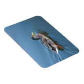 Magnet Flexible Canard de natation (Côté Droit)