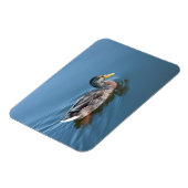 Magnet Flexible Canard de natation (Côté Gauche)