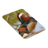 Magnet Flexible Canard mandarin (Côté Droit)