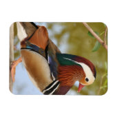 Magnet Flexible Canard mandarin (Horizontal)
