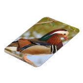 Magnet Flexible Canard mandarin (Côté Gauche)
