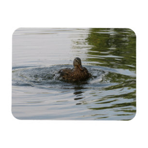 Magnet Flexible Canard secouant Tailfeather