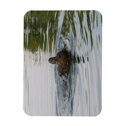 Magnet Flexible Canard secouant Tailfeather (Vertical)