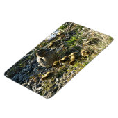 Magnet Flexible Canards adorables (Côté Gauche)