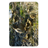 Magnet Flexible Canards adorables (Vertical)