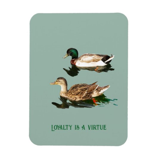 Magnet Flexible Canards colverts (Vertical)