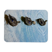 Magnet Flexible Canards dans un aimant Premium de rangée (Horizontal)