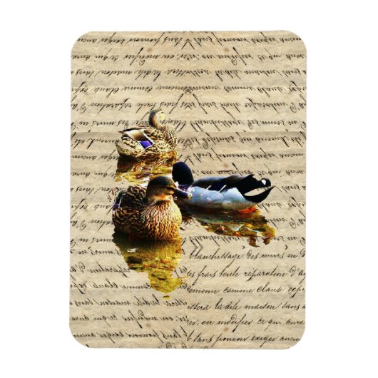Magnet Flexible Canards sur papier vintage (Vertical)