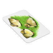 Magnet Flexible Canetons de canard colvert enneigés (Côté Droit)
