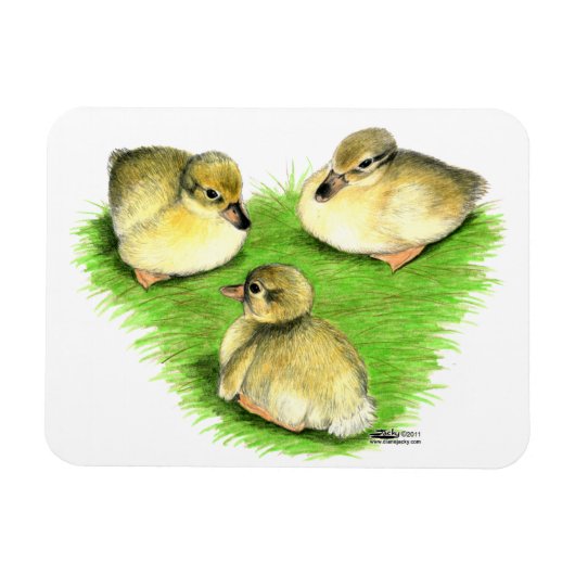 Magnet Flexible Canetons de canard colvert enneigés (Horizontal)
