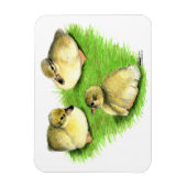 Magnet Flexible Canetons de canard colvert enneigés (Vertical)