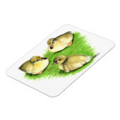 Magnet Flexible Canetons de canard colvert enneigés (Côté Gauche)
