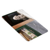 Magnet Flexible Caniche nain blanc (Côté Droit)