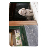 Magnet Flexible Caniche nain blanc (Vertical)