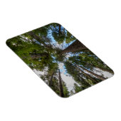 Magnet Flexible canopée de sapin de Douglas (Côté Droit)