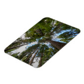 Magnet Flexible canopée de sapin de Douglas (Côté Gauche)
