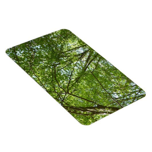 Magnet Flexible Canopée du printemps Feuille Green Nature Scene (Côté Droit)