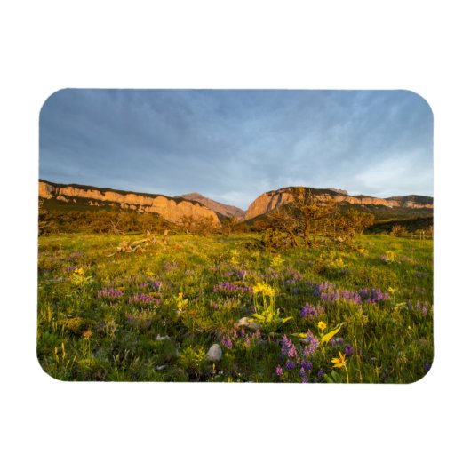 Magnet Flexible Canyon de Sunrise Lights (Horizontal)