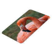 Magnet Flexible Caoutchouc de phoenicopterus (Côté Gauche)