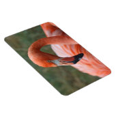 Magnet Flexible Caoutchouc de phoenicopterus (Côté Droit)