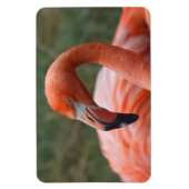 Magnet Flexible Caoutchouc de phoenicopterus (Vertical)