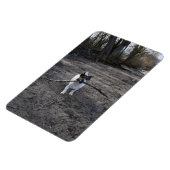 Magnet Flexible Capo von Oppenheim, Jack Russell Terrier Chien (Côté Gauche)