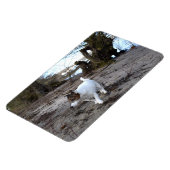 Magnet Flexible Capo von Oppenheim, Jack Russell Terrier Dog Magne (Côté Gauche)