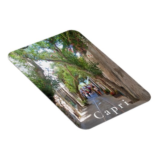 Magnet Flexible Capri. #5 (Côté Droit)