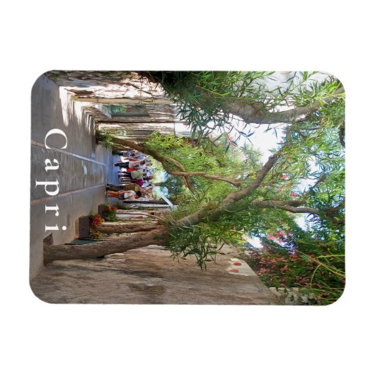 Magnet Flexible Capri. #5 (Horizontal)