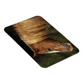 Magnet Flexible Capture d'écran Appaloosa Horse 1 (Côté Droit)