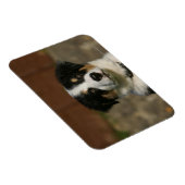 Magnet Flexible Capture d'écran de 12 semaines Vieux Bordure Colli (Côté Droit)