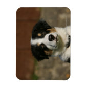 Magnet Flexible Capture d'écran de 12 semaines Vieux Bordure Colli (Vertical)