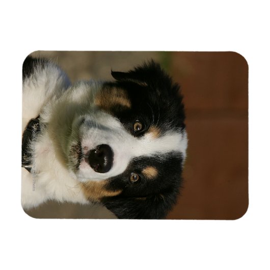 Magnet Flexible Capture d'écran de 12 semaines Vieux Bordure Colli (Horizontal)