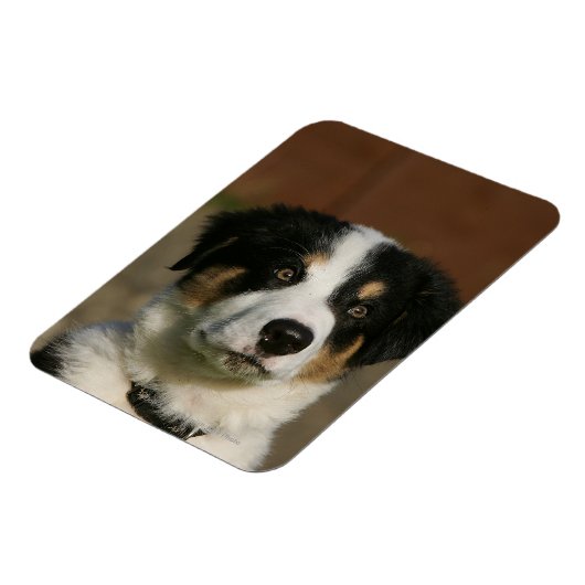 Magnet Flexible Capture d'écran de 12 semaines Vieux Bordure Colli (Côté Gauche)