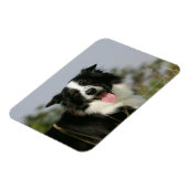 Magnet Flexible Capture d'écran de la bordure 1 (Côté Gauche)