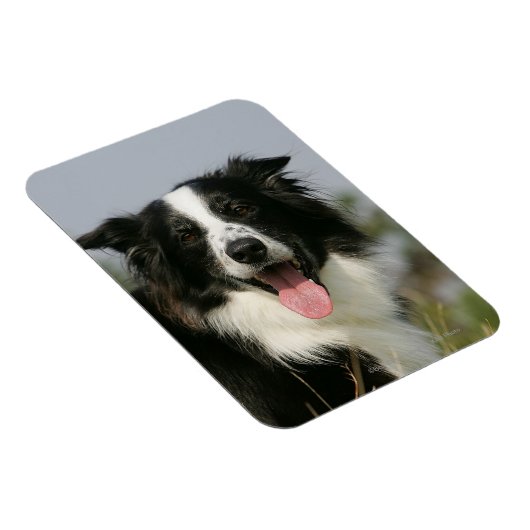 Magnet Flexible Capture d'écran de la bordure 1 (Côté Droit)